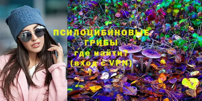 мориарти клад  OMG сайт  Псилоцибиновые грибы MAGIC MUSHROOMS  Высоцк  купить наркоту 